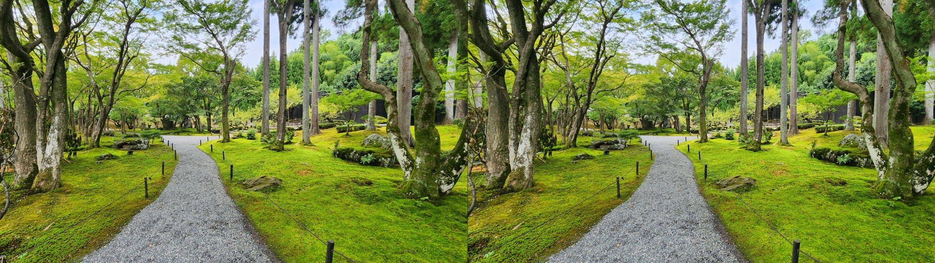 Path near Shozan Resort Kyoto
